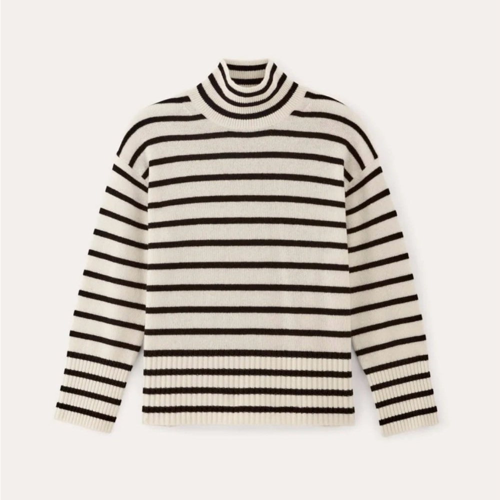Everlane Cashmere Boxy Turtleneck Sweater